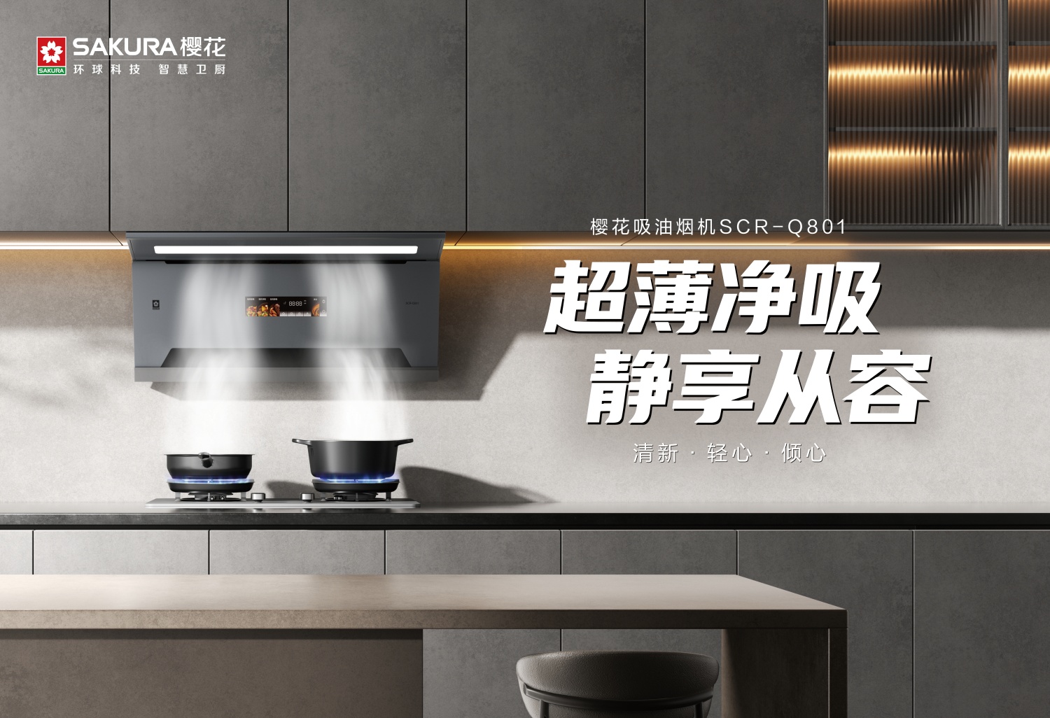 樱花吸油烟机SCR-Q801